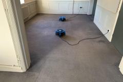 carpet-drying