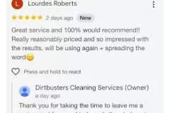 dirtbusters-hopton-review